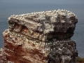 Seelenfänger Photographie |  Helgoland 2013