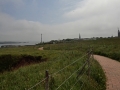 Seelenfänger Photographie |  Helgoland 2013