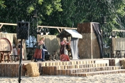 Heider Marktfrieden 2014