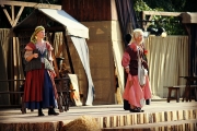 Heider Marktfrieden 2014