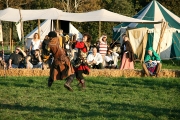 MPS Hohenlockstedt 2014