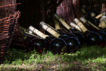 Seelenfänger Photographie | MPS Hohenwestedt 2015