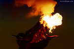 Seelenfänger Photographie | MPS Hohenlockstedt 2015
