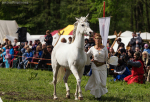 Seelenfänger Photographie | MPS Hohenwestedt 2016