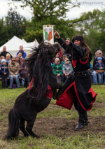 Seelenfänger Photographie | MPS Hohenwestedt 2016