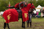 Seelenfänger Photographie | MPS Hohenwestedt 2016