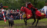 Seelenfänger Photographie | MPS Hohenwestedt 2016