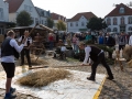 Seelenfänger Photographie | Meldorfer Kohlvergnügen 2017