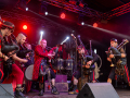 Cultus Ferox auf dem MPS Hohenlockstedt 2017