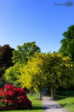 Seelenfänger Photographie | Scone Palace