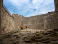 Seelenfänger Photographie | Blackness Castle, Schottland