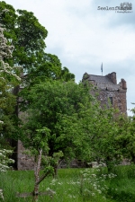 Seelenfänger Photographie | Edzell Castle, Schottland