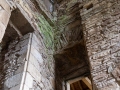 Seelenfänger Photographie | Hunting Tower Castle
