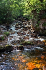 Seelenfänger Photographie | Fort William