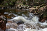 Seelenfänger Photographie | Fort William