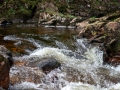 Seelenfänger Photographie | Fort William