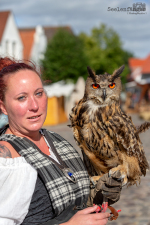 Seelenfänger Photographie | Meldorfer Markttreiben 2018