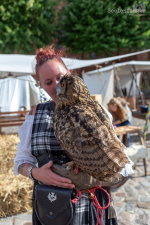 Seelenfänger Photographie | Meldorfer Markttreiben 2018