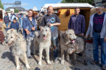 Seelenfänger Photographie | Meldorfer Markttreiben 2018