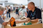 Seelenfänger Photographie | Hafenfest 2018