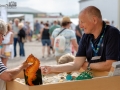 Seelenfänger Photographie | Hafenfest 2018