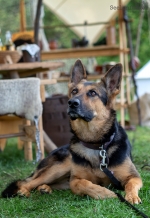 Seelenfänger Photographie | MPS Öjendorf 2018