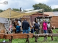 Seelenfänger Photographie | Großenasper Heerweg Markt 2018