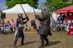 Seelenfänger Photographie | 2. Mittelalter Fest zu Wedel 2019