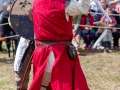 Seelenfänger Photographie | 2. Mittelalter Fest zu Wedel 2019