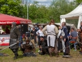 Seelenfänger Photographie | 2. Mittelalter Fest zu Wedel 2019