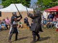 Seelenfänger Photographie | 2. Mittelalter Fest zu Wedel 2019