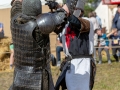 Seelenfänger Photographie | 2. Mittelalter Fest zu Wedel 2019