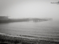 Seelenfänger Photographie |  Helgoland 2019