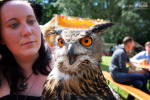 Seelenfänger Photographie | Pfingsspektakel Mittelalter Rotenburg 2019