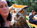 Seelenfänger Photographie | Pfingsspektakel Mittelalter Rotenburg 2019