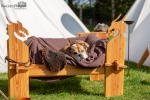 Seelenfänger Photographie | Mittelalter Live Herbstmarkt 2019