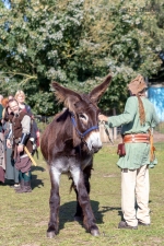 Seelenfänger Photographie | Mittelalter Live Herbstmarkt 2019