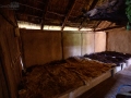Seelenfänger Photographie | Wikinger Museum Haithabu