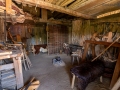 Seelenfänger Photographie | Wikinger Museum Haithabu