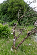 Seelenfänger Photographie | Steinzeitpark Dithmarschen