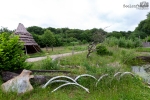 Seelenfänger Photographie | Steinzeitpark Dithmarschen
