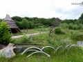 Seelenfänger Photographie | Steinzeitpark Dithmarschen