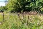 Seelenfänger Photographie | Steinzeitpark Dithmarschen