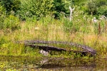 Seelenfänger Photographie | Steinzeitpark Dithmarschen