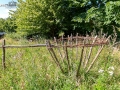 Seelenfänger Photographie | Steinzeitpark Dithmarschen