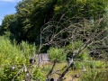 Seelenfänger Photographie | Steinzeitpark Dithmarschen