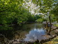 Seelenfänger Photographie | Tierpark Arche Warder