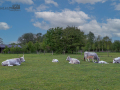 Seelenfänger Photographie | Tierpark Arche Warder