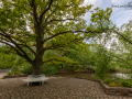 Seelenfänger Photographie | Tierpark Arche Warder