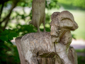 Seelenfänger Photographie | Tierpark Arche Warder